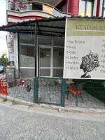 Resim18458